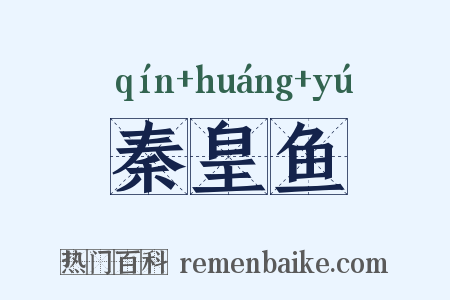 秦皇鱼是什么意思的图片